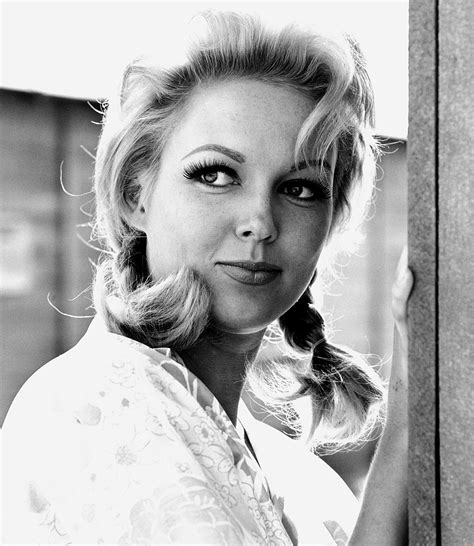 cynthia lynn movies and tv shows